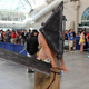 Image for article titled Photobombed Cosplay Winners